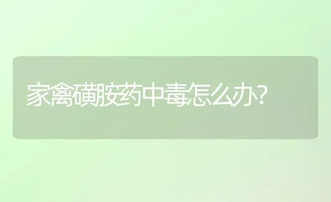 家禽磺胺药中毒怎么办？ | 养殖病虫害防治