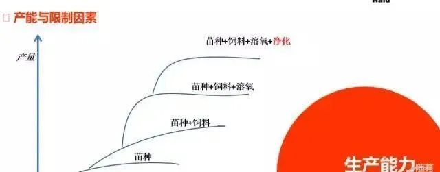 林文辉关于生态养殖技术关键点讲解