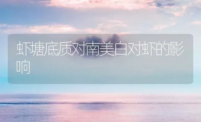 虾塘底质对南美白对虾的影响 | 海水养殖