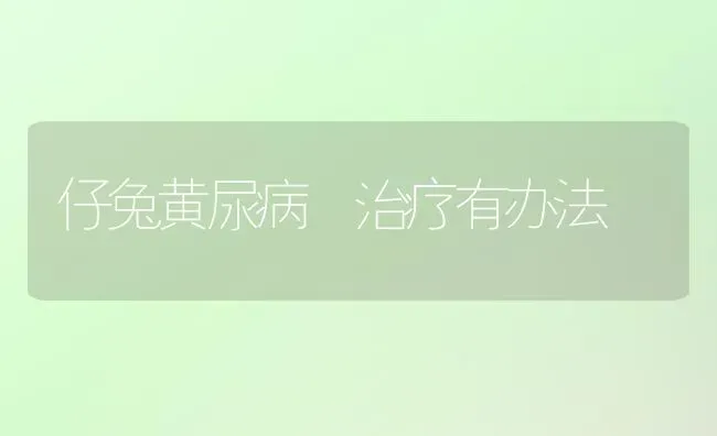 仔兔黄尿病 治疗有办法 | 家畜养殖