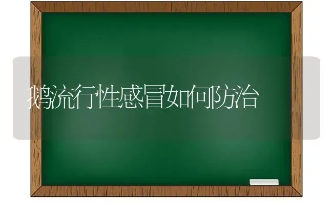 鹅流行性感冒如何防治 | 家禽养殖