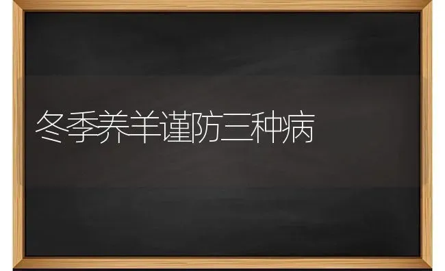 冬季养羊谨防三种病 | 家畜养殖
