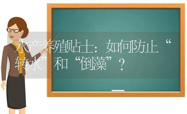 水产养殖贴士：如何防止“转水”和“倒藻”？ | 动物养殖百科