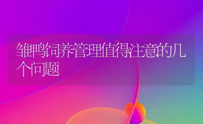 雏鸭饲养管理值得注意的几个问题 | 家禽养殖