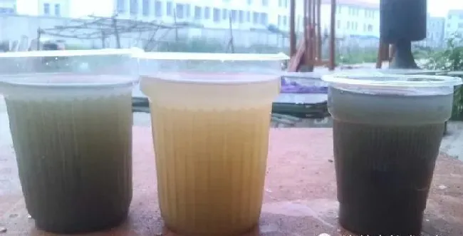 底康1号对黑水有机质的分解处理能力远超过强效**