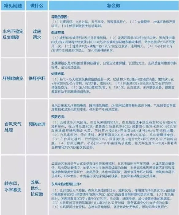 南美白对虾低盐度养殖常见问题及处理方案