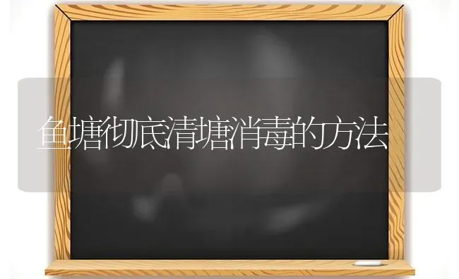 鱼塘彻底清塘消毒的方法 | 淡水养殖