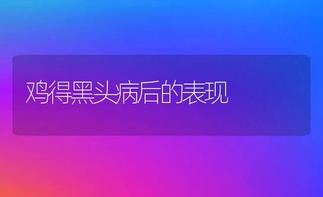 鸡得黑头病后的表现 | 家禽养殖