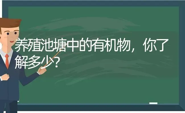 养殖池塘中的有机物，你了解多少？ | 动物养殖百科