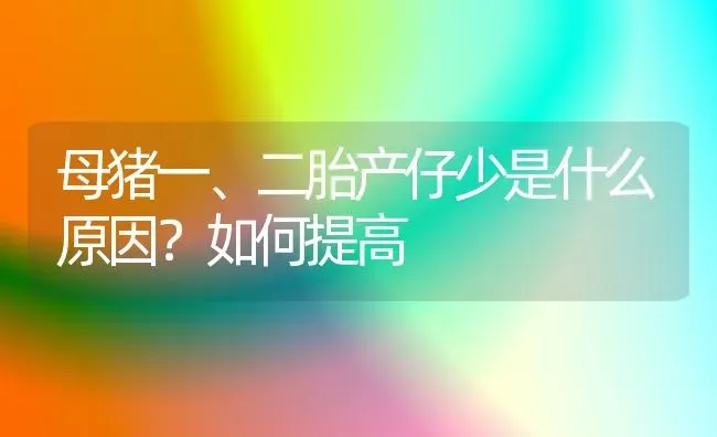 母猪一、二胎产仔少是什么原因？如何提高 | 家畜养殖