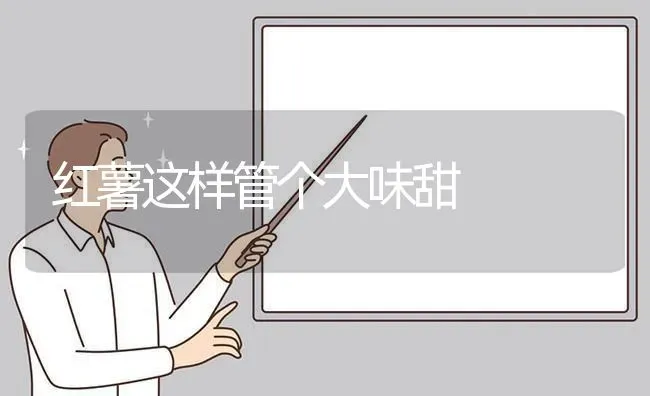 这些钙源饲料蛋鸡可用 | 家禽养殖