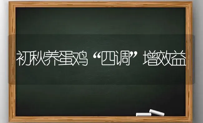 初秋养蛋鸡“四调”增效益 | 家禽养殖
