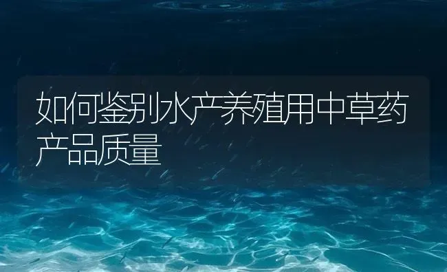 如何鉴别水产养殖用中草药产品质量 | 养殖病虫害防治