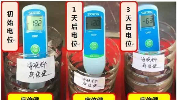 水产养殖户必问的10个问题，不信你试试