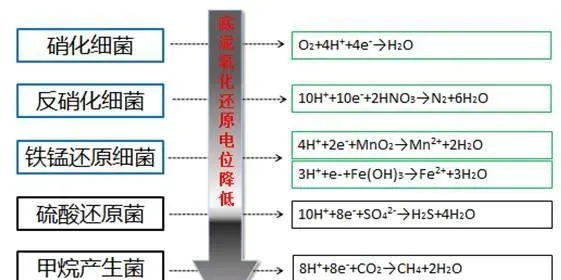 水产养殖户必问的10个问题，不信你试试