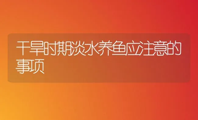干旱时期淡水养鱼应注意的事项 | 淡水养殖