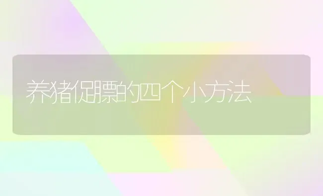 养猪促膘的四个小方法 | 家畜养殖