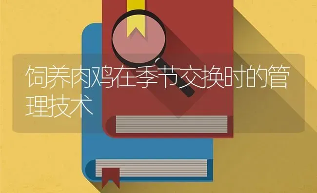 饲养肉鸡在季节交换时的管理技术 | 家禽养殖