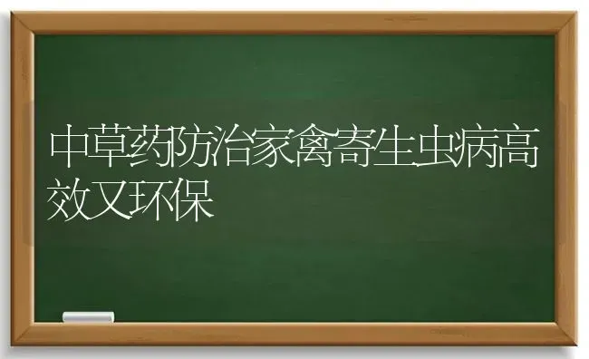 中草药防治家禽寄生虫病高效又环保 | 养殖病虫害防治