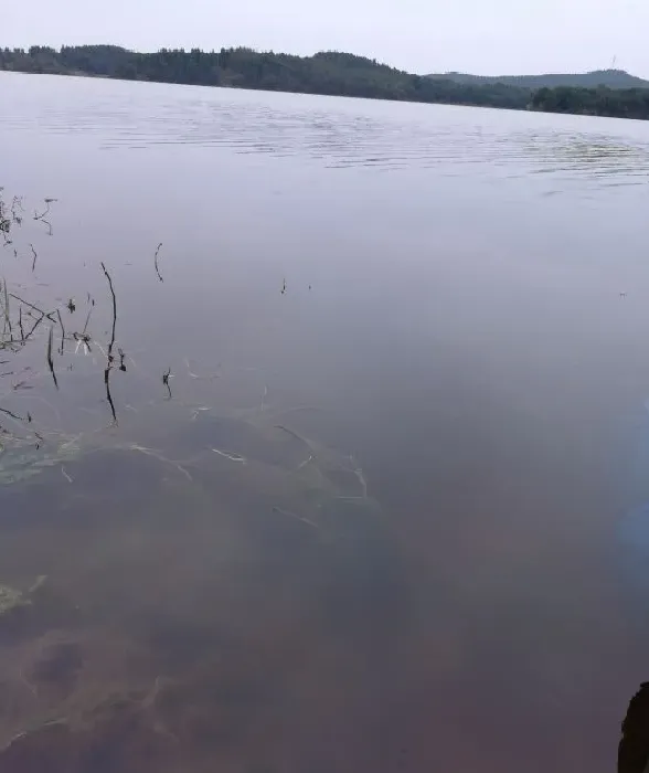 这两天降温要注意了，池塘浮头死鱼都有可能