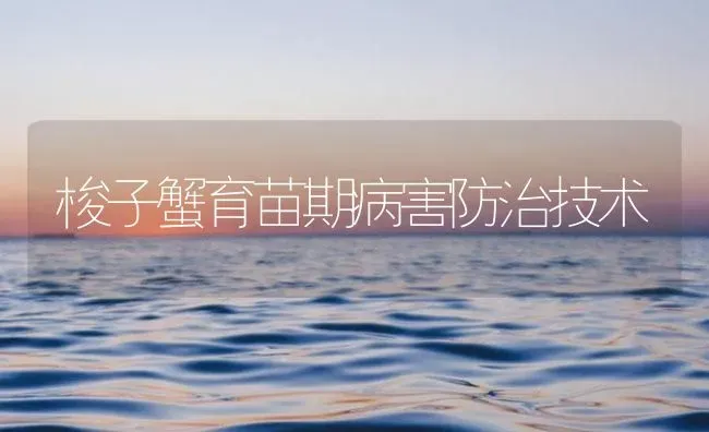 梭子蟹育苗期病害防治技术 | 海水养殖