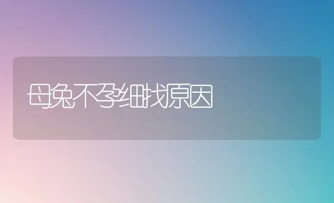 母兔不孕细找原因 | 家畜养殖
