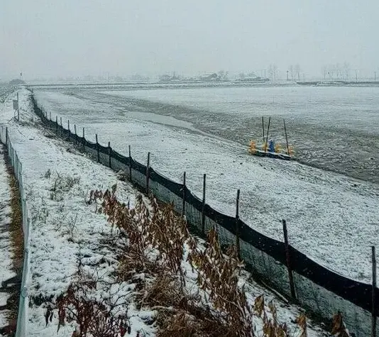 春节前养殖户放蟹苗池塘的要求