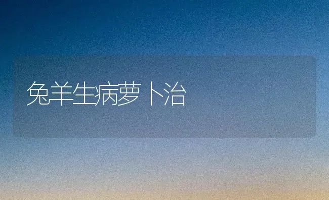 兔羊生病萝卜治 | 家畜养殖