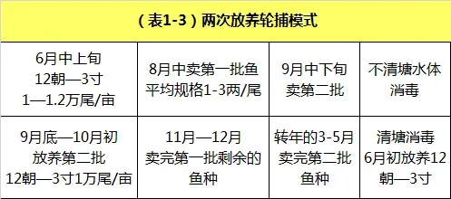 草鱼鱼种怎么养?可以看下这份超详细的养殖指南