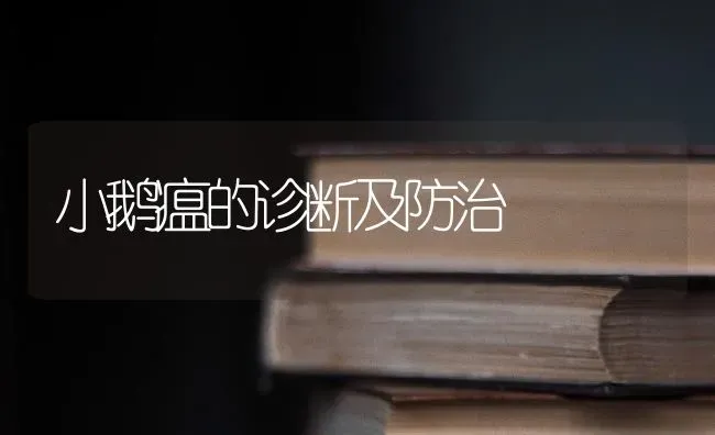 小鹅瘟的诊断及防治 | 家禽养殖