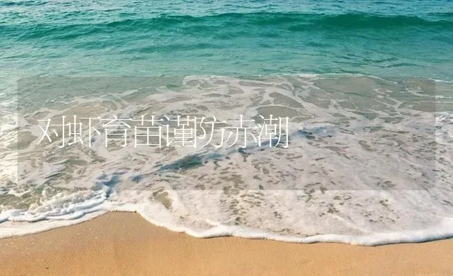 对虾育苗谨防赤潮 | 海水养殖