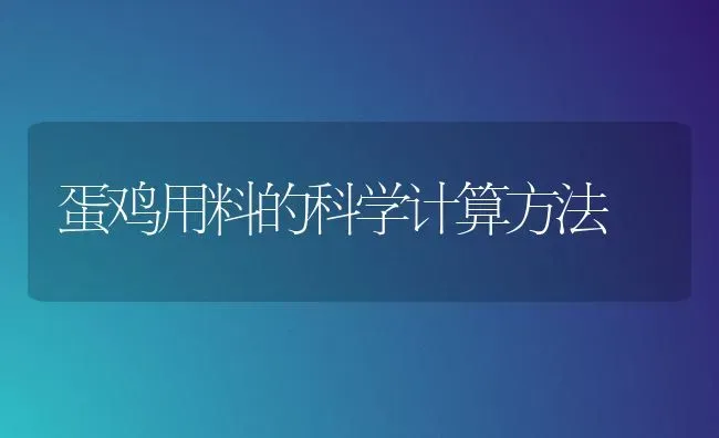 蛋鸡用料的科学计算方法 | 家禽养殖