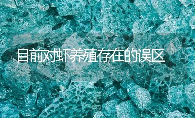 目前对虾养殖存在的误区 | 海水养殖