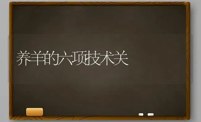 养羊的六项技术关 | 家畜养殖