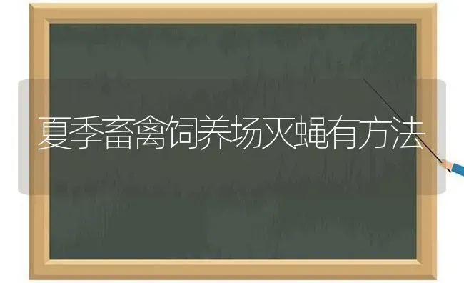 夏季畜禽饲养场灭蝇有方法 | 家禽养殖