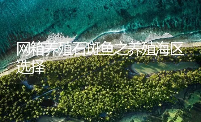 网箱养殖石斑鱼之养殖海区选择 | 海水养殖