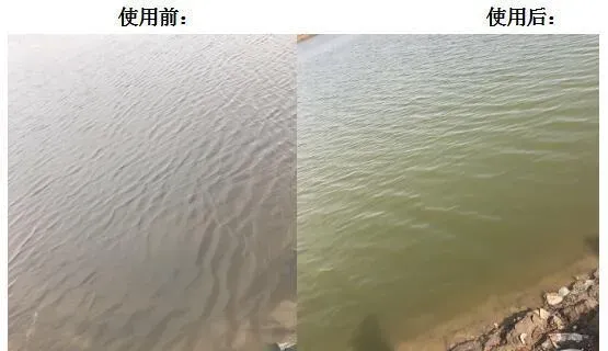 养殖误区：海水不需要调水！真的是这样吗？