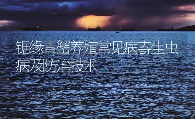 锯缘青蟹养殖常见病寄生虫病及防治技术 | 海水养殖