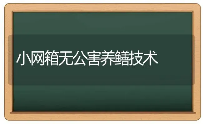 给羊打疫苗的注意事项 | 家畜养殖