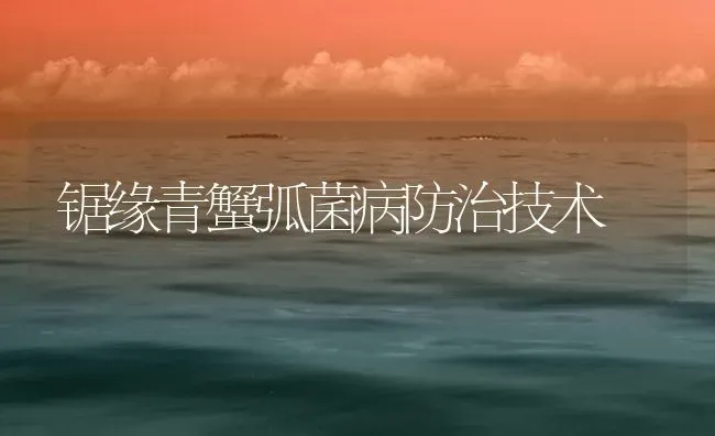 锯缘青蟹弧菌病防治技术 | 海水养殖