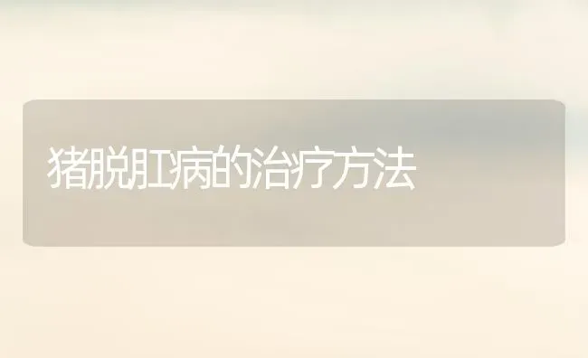 猪脱肛病的治疗方法 | 家畜养殖