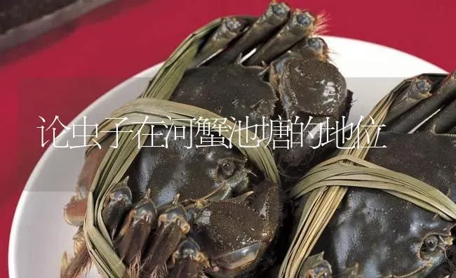 论虫子在河蟹池塘的地位 | 淡水养殖