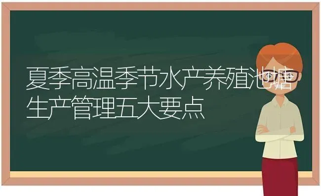 夏季高温季节水产养殖池塘生产管理五大要点 | 动物养殖百科