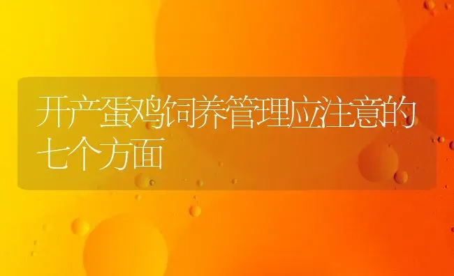 开产蛋鸡饲养管理应注意的七个方面 | 家禽养殖