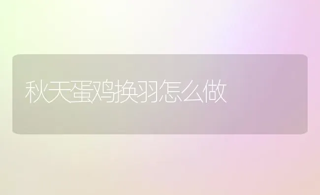 秋天蛋鸡换羽怎么做 | 家禽养殖