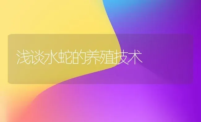 浅谈水蛇的养殖技术 | 特种养殖