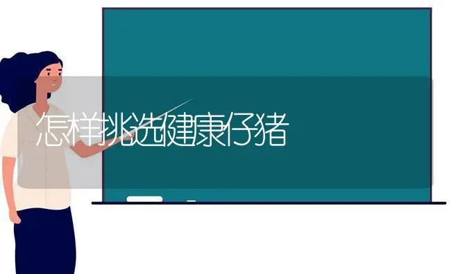 怎样挑选健康仔猪 | 家畜养殖