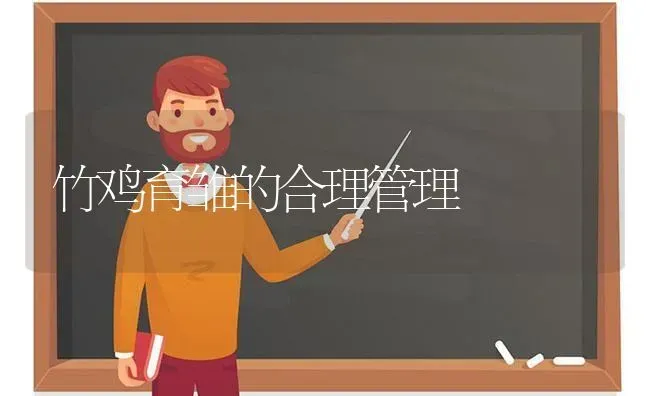 竹鸡育雏的合理管理 | 家禽养殖