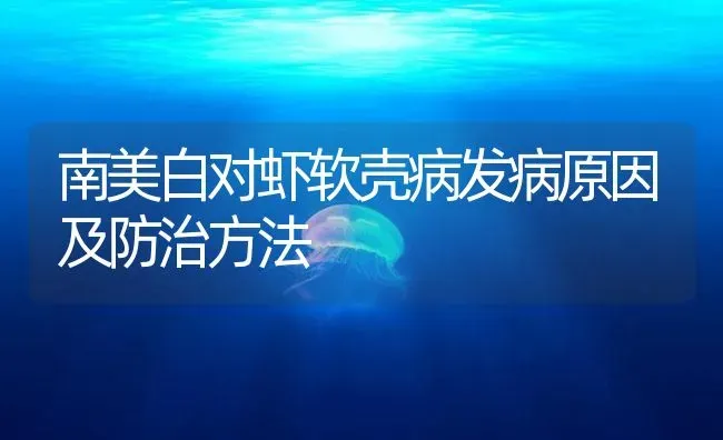 南美白对虾软壳病发病原因及防治方法 | 海水养殖