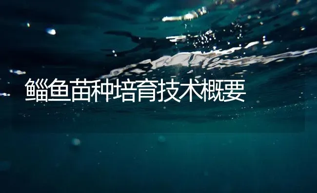鲻鱼苗种培育技术概要 | 海水养殖